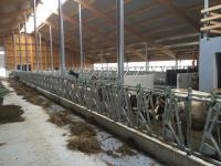 Agroekonomika, načrtovanje in gradnje